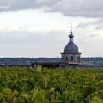 Vouvray Chateau Gaudrelle vignes