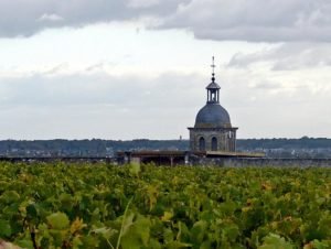 The vineyards around Château Gaudrelle