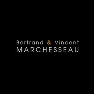 Logo Domaine Bertrand et Vincent Marchesseau