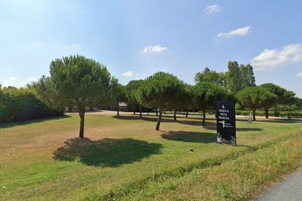 Domaine Terra Vita Vinum Mozé-sur-Louet Maine-et-Loire