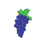 Grappe de Cépage Cabernet Frand