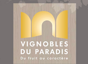 Logo Domaine Vignobles du Paradis